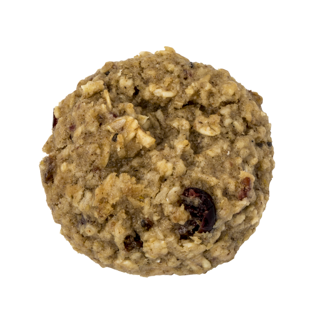 Alyssa's vegan oatmeal bites